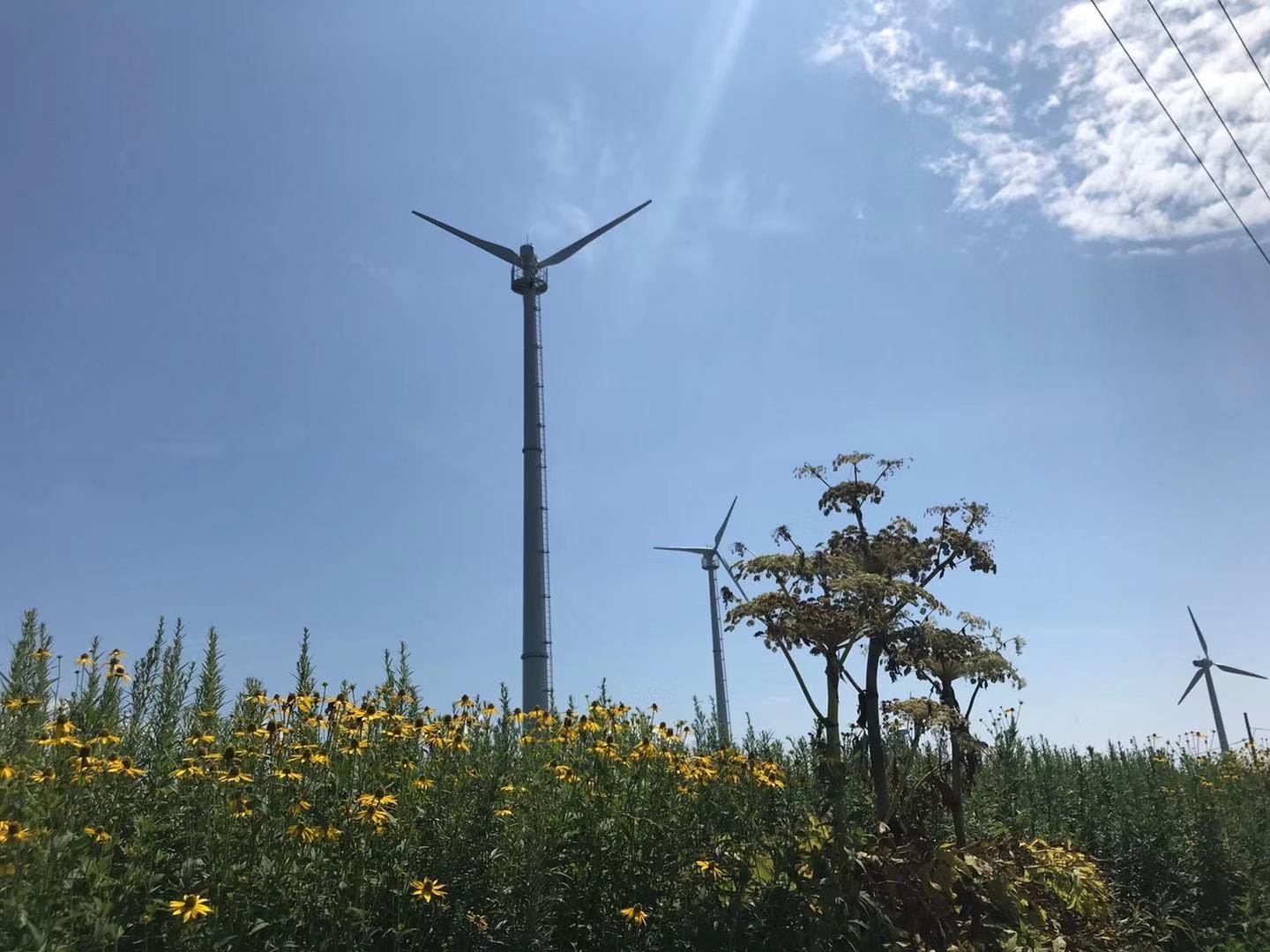 北海道 風力発電事業